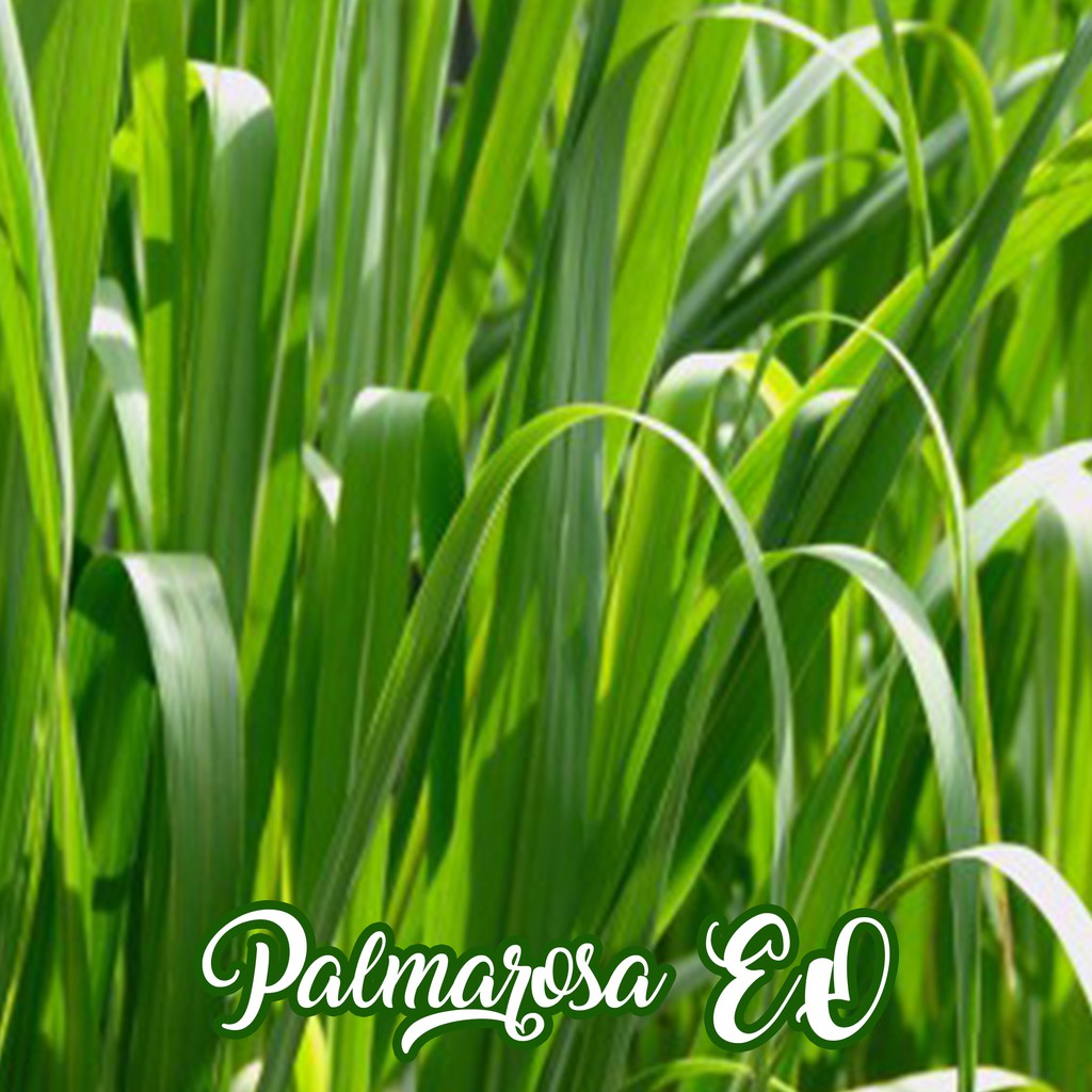 Palmarosa Pure Essential Oil 1 L