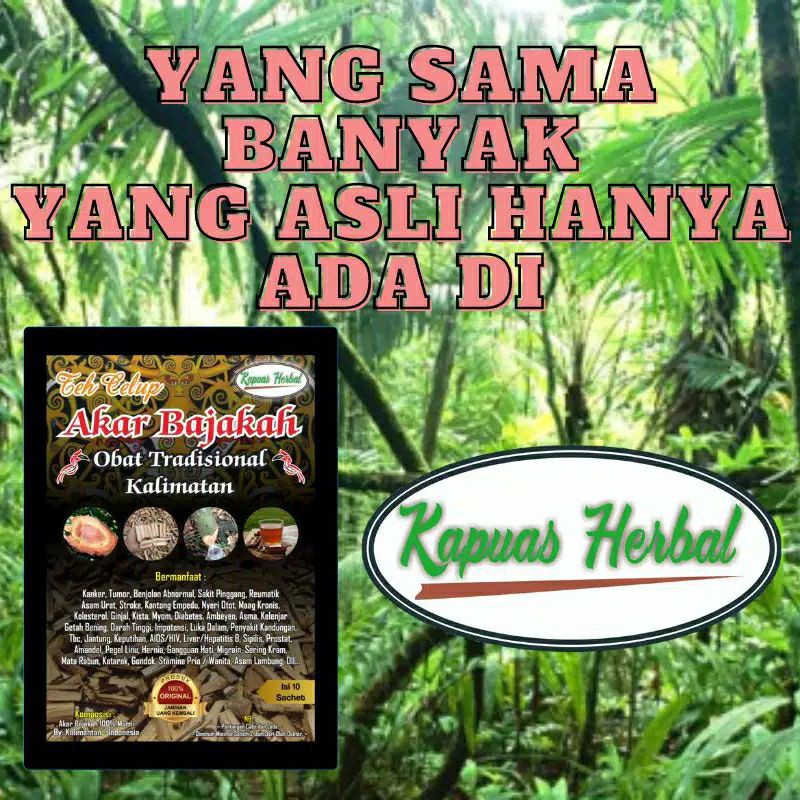 

Teh Bajakah Tampala Premium