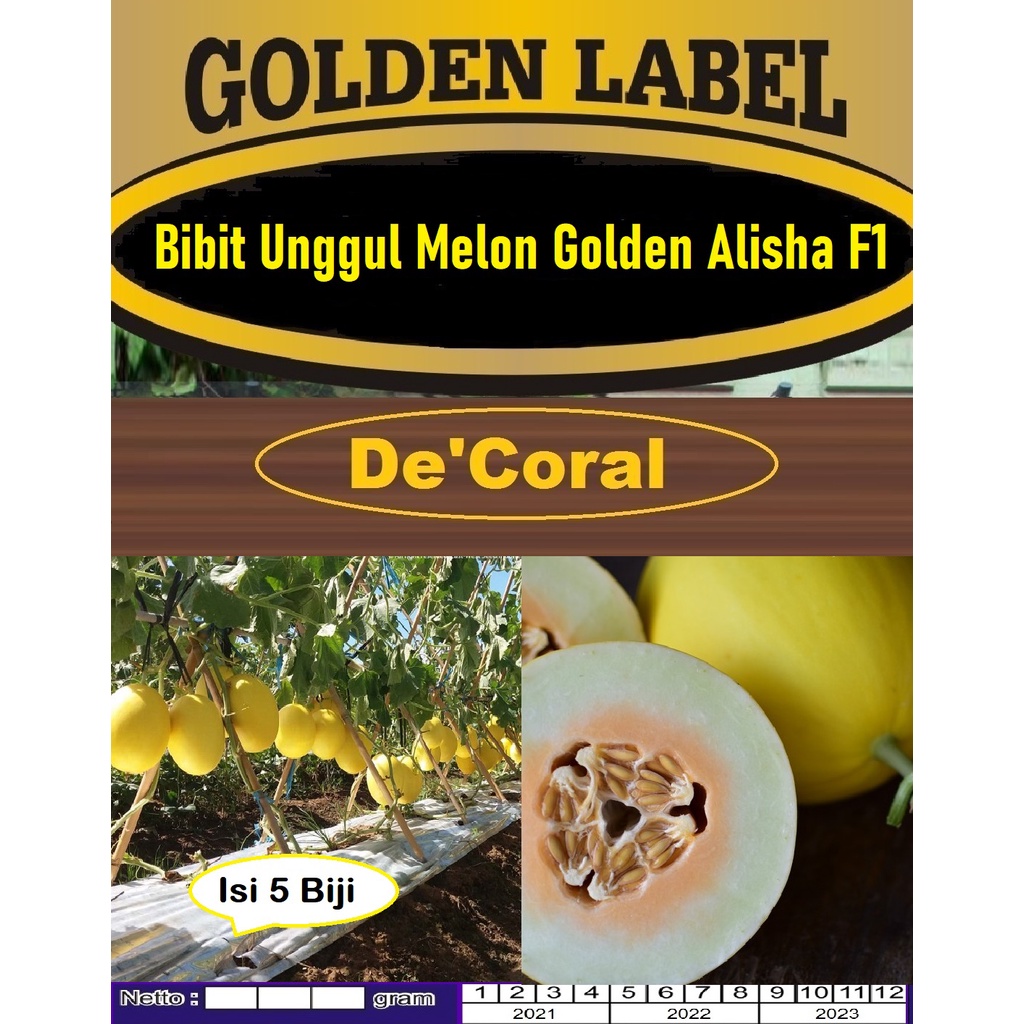 Bibit Unggul Melon Golden Alisha F1| Benih Melon Golden ALISHA F1