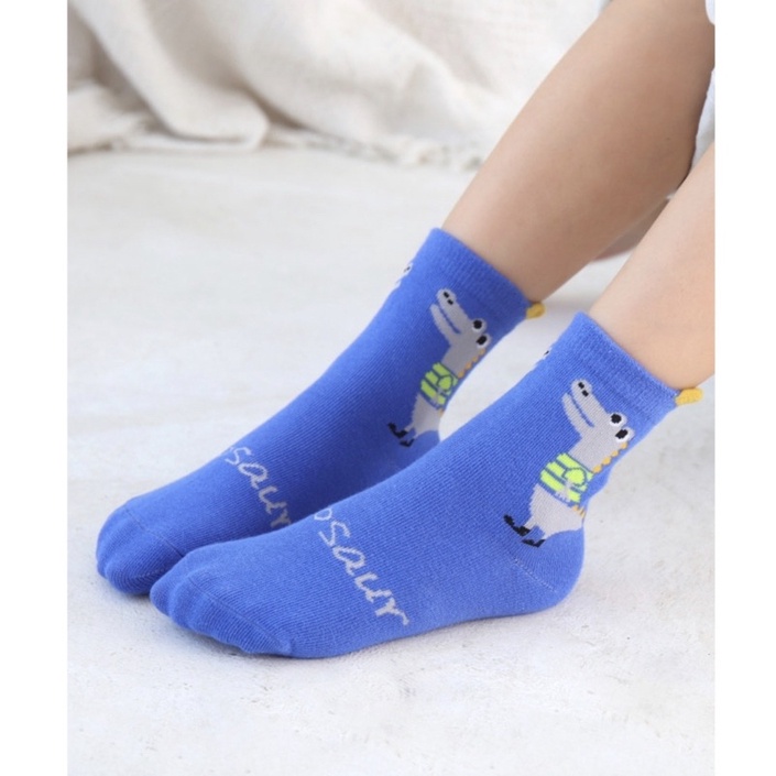 Kaos Kaki Motif Dino Dinosaurus Anak Laki Laki / Boy Kid Socks