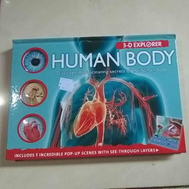 Human Body 3D