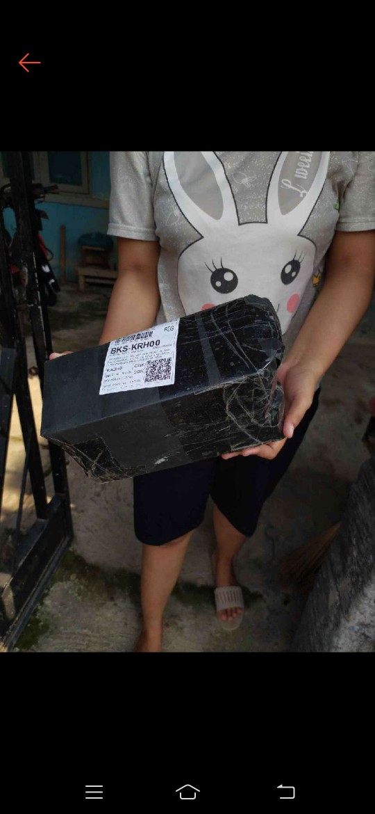 Alat Perasan Jeruk Dan Pemeras Lemon Stainless Steel