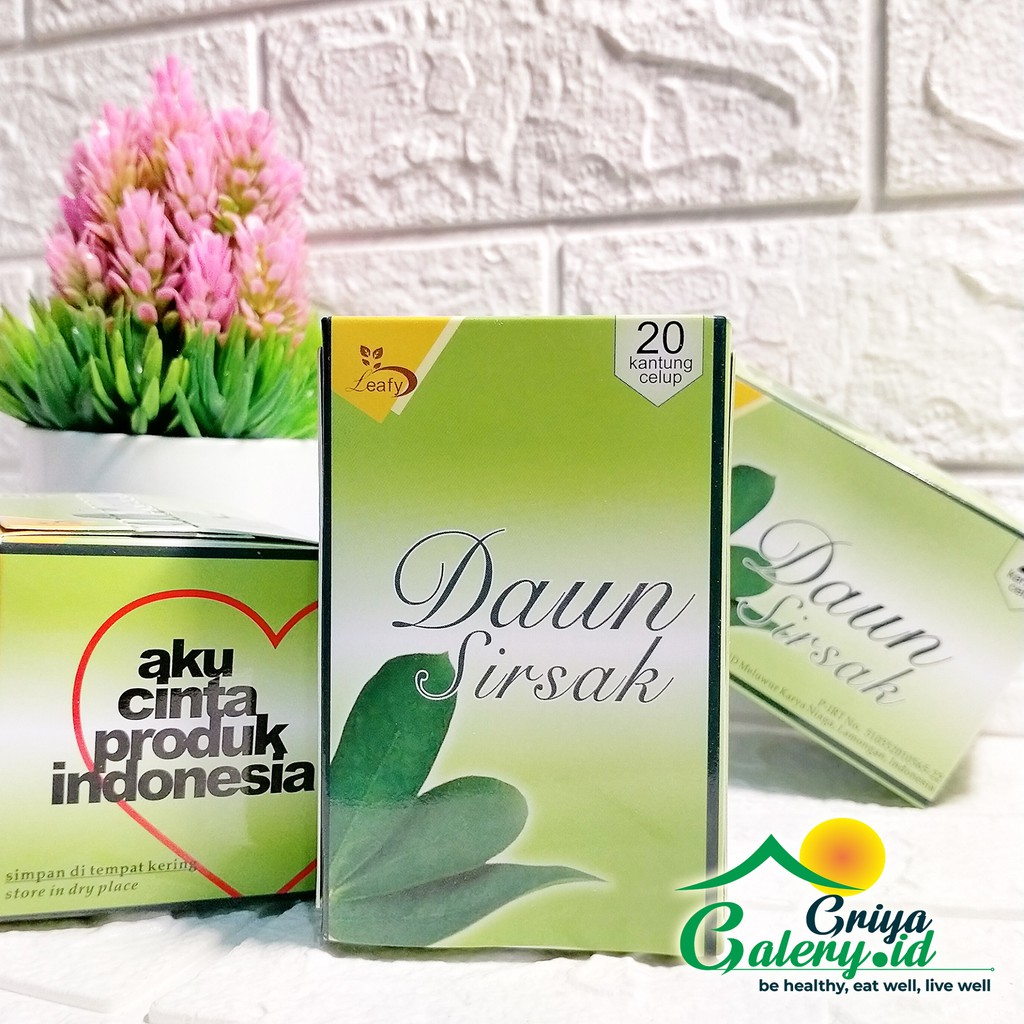 

Leafy teh daun sirsak celup herbal alami Tea sby