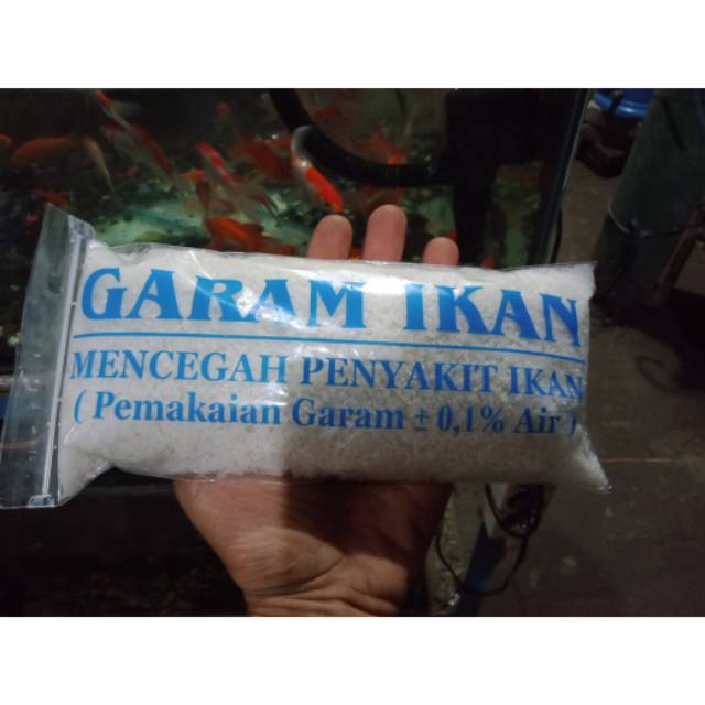 

Garam Ikan,, obat ikan, Garam pencegahan penyakit pada ikan.