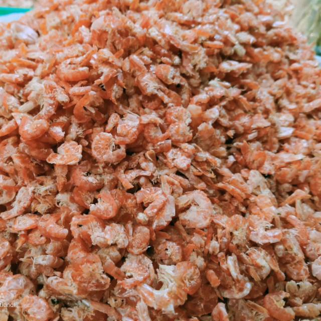 

Hebi pontianak gread A