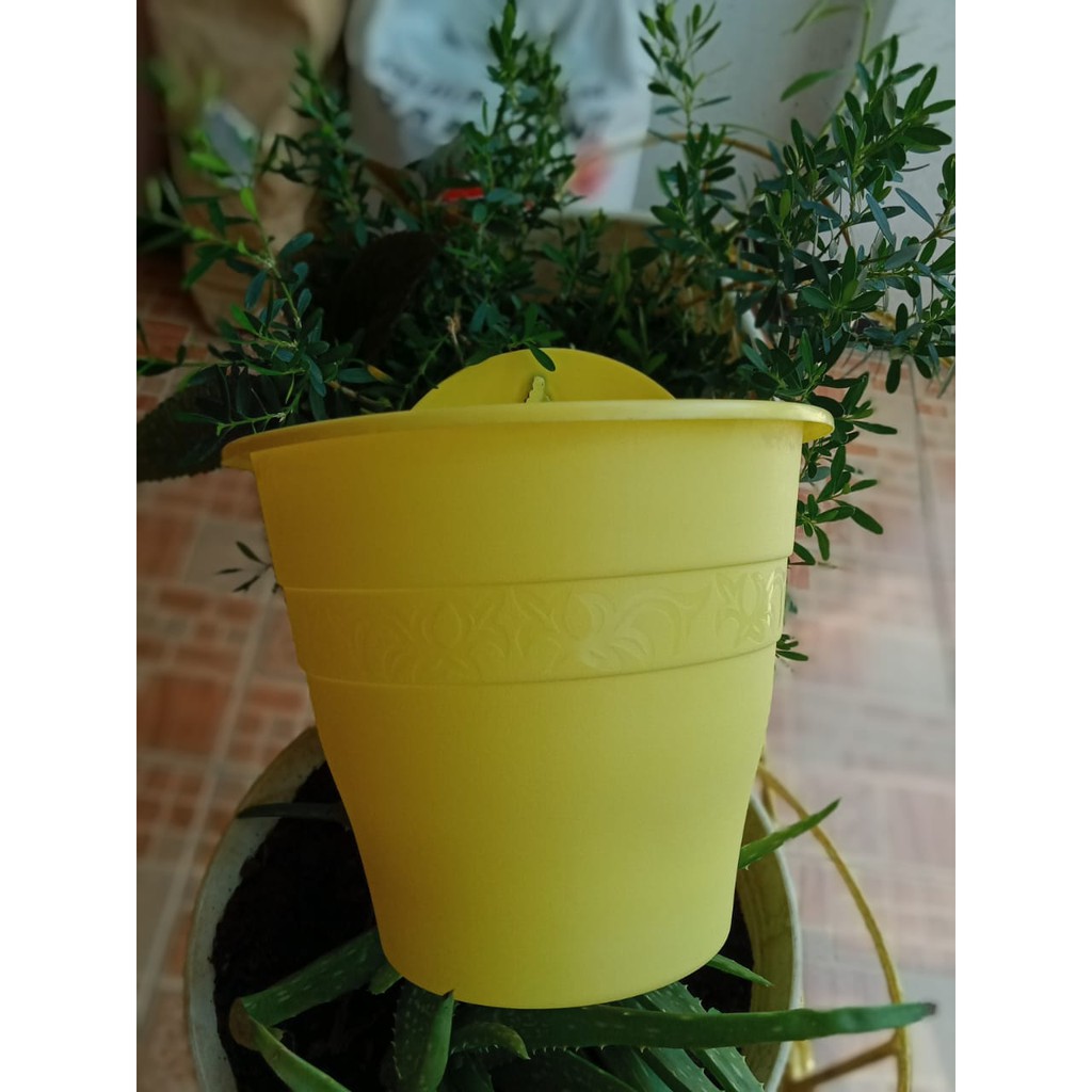 Jual Pot dinding | pot warna | pot NKT POT CANTIK stok hanya warna ...