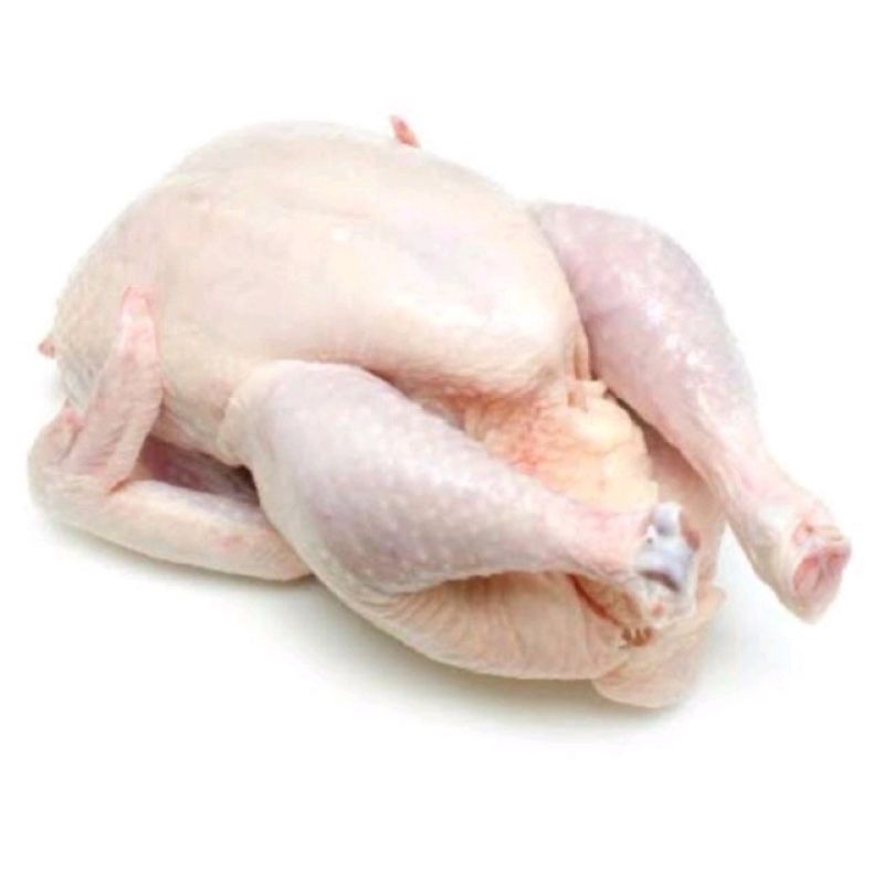 

Ayam-1Ekor/Segar/dipotong/8-10-12