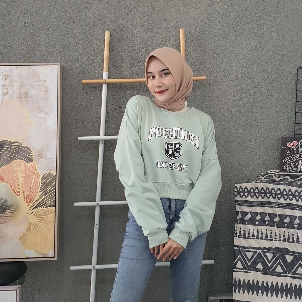 Sweaterr Crop Wanita Motif Pochinky Bahan Pleece Korea Style