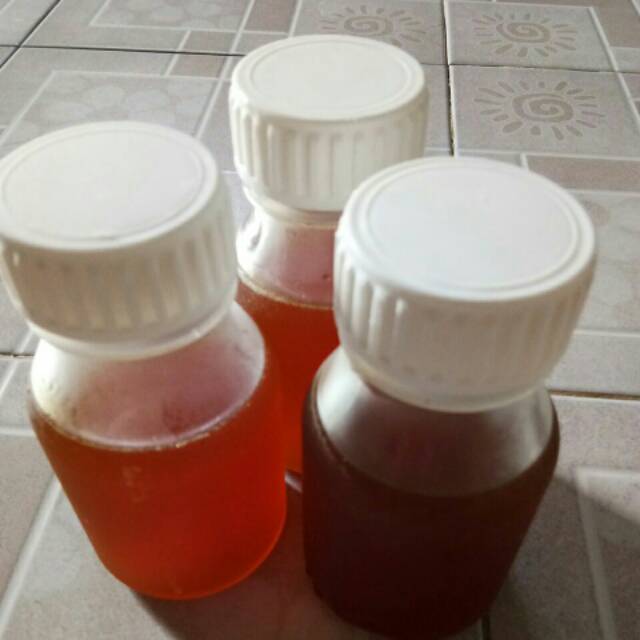 

Madu trigona