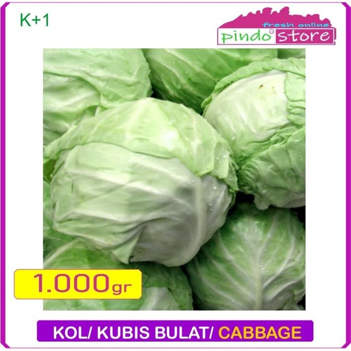 

KOL BULAT SEGAR / KUBIS / CABBAGE