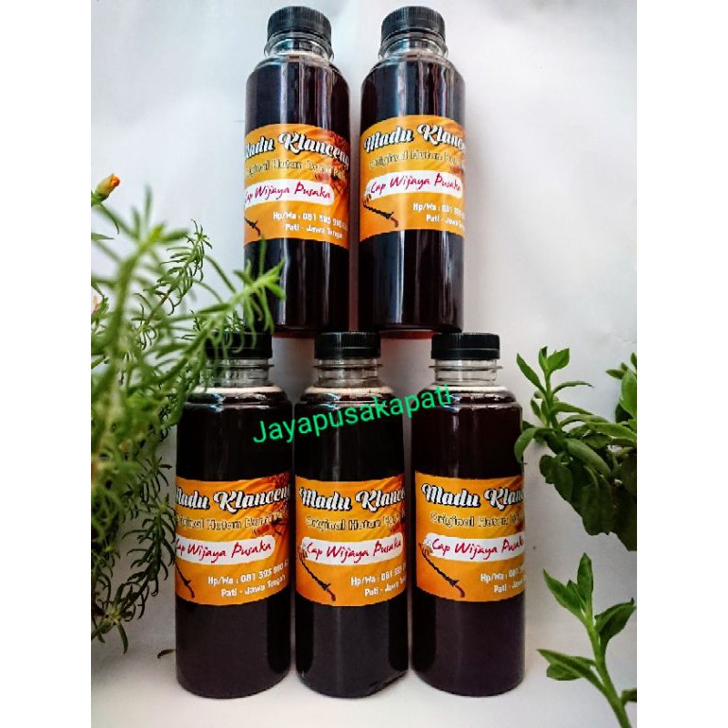 

madu klanceng murni 100% tanpa pemanis tambahan