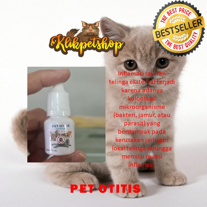 Telinga Kucing gatal Sering Menggaruk PET Otitis