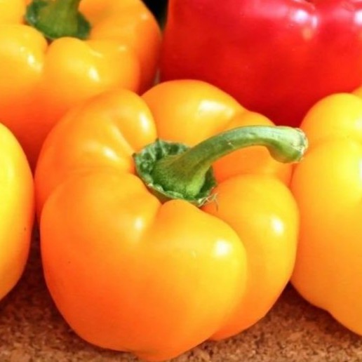 

PAPRIKA KUNING 1 PCS SEGAR / YELLOW PAPRICA FRESH