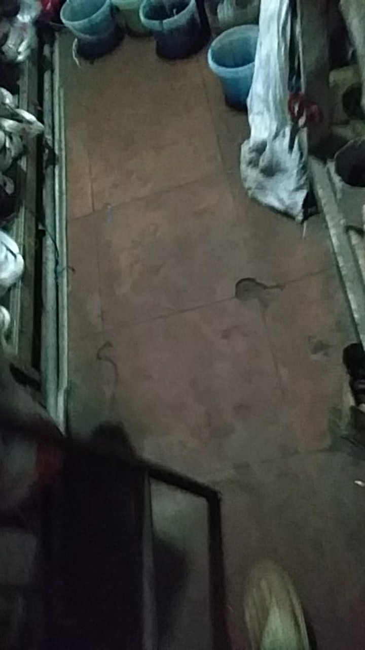 Baju Batik Pria Gus Azmi Syubbanul Muslimin Batik Katun Halus Hadroh Azzahir Santri Muslim,