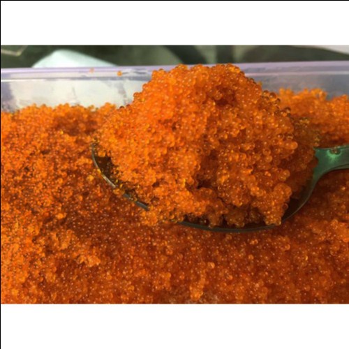 

Tobiko Orange Premium 50gr -100 gr | Flying Fish Roe Halal!! 50gr-100gr