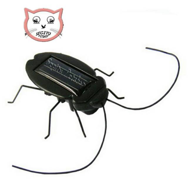 MAINAN KUCING KECOA GERAK,, TANPA BATU BATRAI