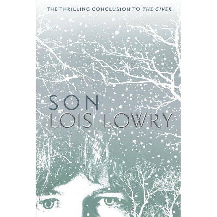 Son by Lowry Lois (PAPERBACK)