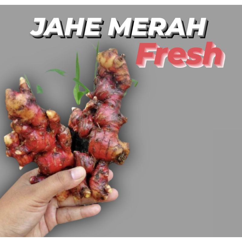 

JAHE MERAH FRESH 250 gram