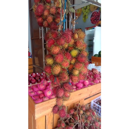 

RAMBUTAN LOKAL