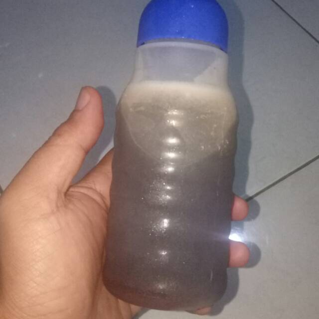 

Madu Klanceng / Kelulut / Trigona 250 ML asli