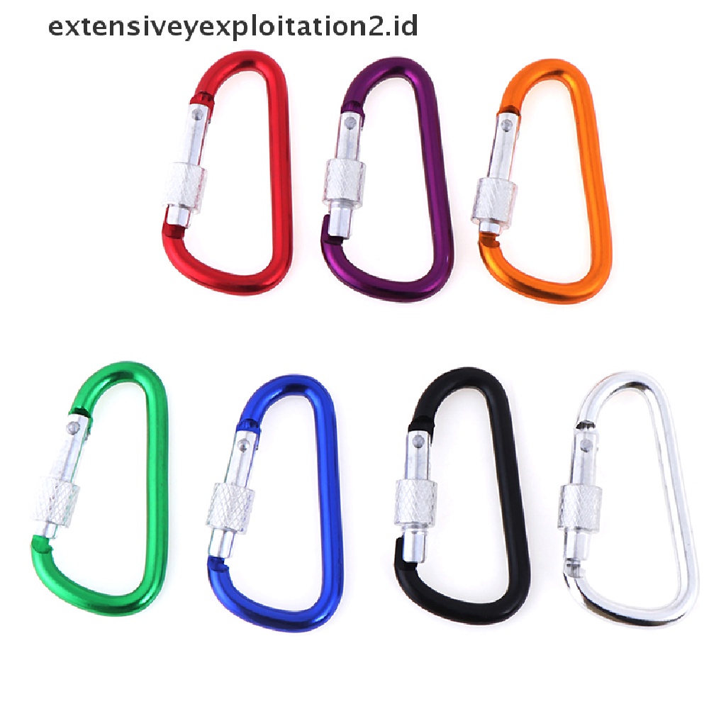 Id 2pcs Carabiner D-Ring Bahan Aluminum Untuk Gantungan Kunci / Outdoor