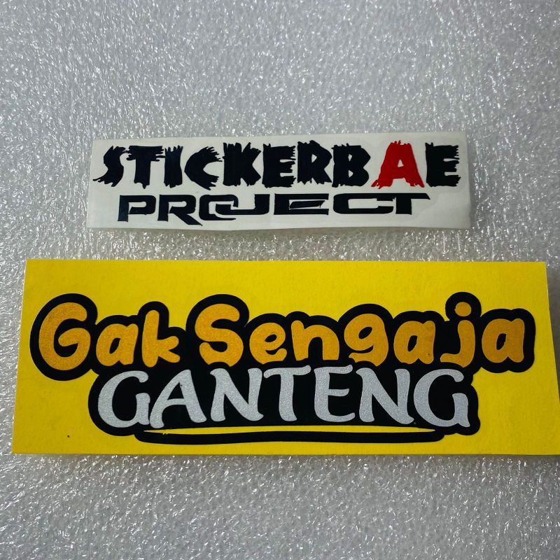 Stiker gak sengaja ganteng cuting sticker 1pcs