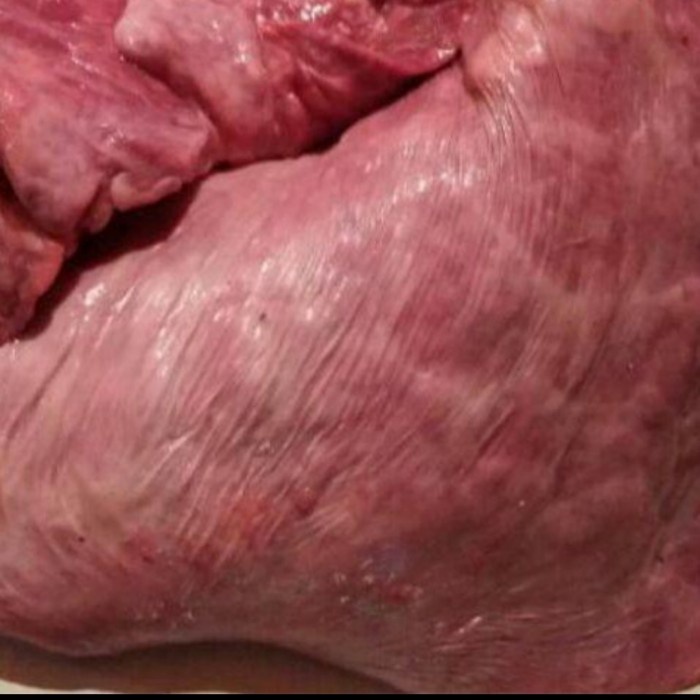 

PARUH SAPI FRESH 500gr