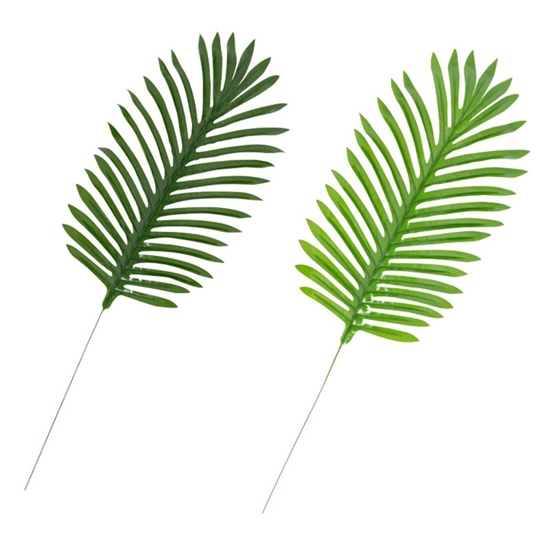 Gambar Daun Kelapa Kartun Gambar Kartun Gambar Daun Kelapa Kartun Gambar Kartun