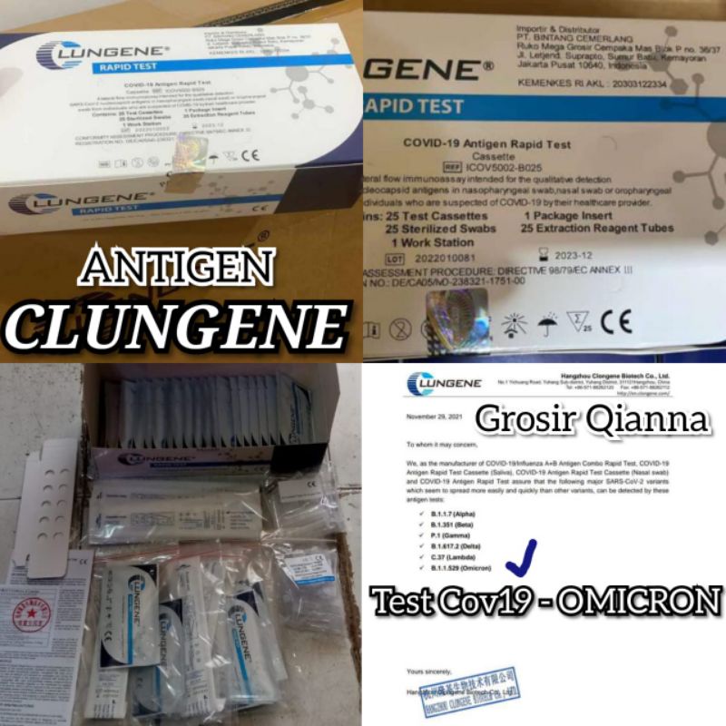 Jual PROMO Test Antigen Swab Biru 25pcs Kemenkes AKL ORIGINAL Nasal ...