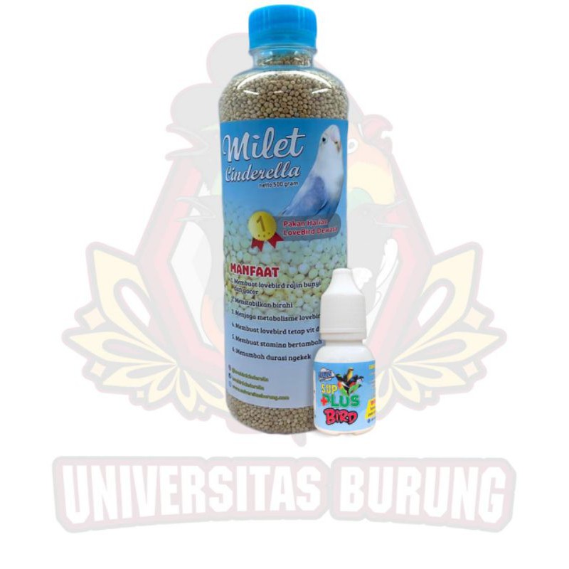 paket cinderella dan sup plus bird