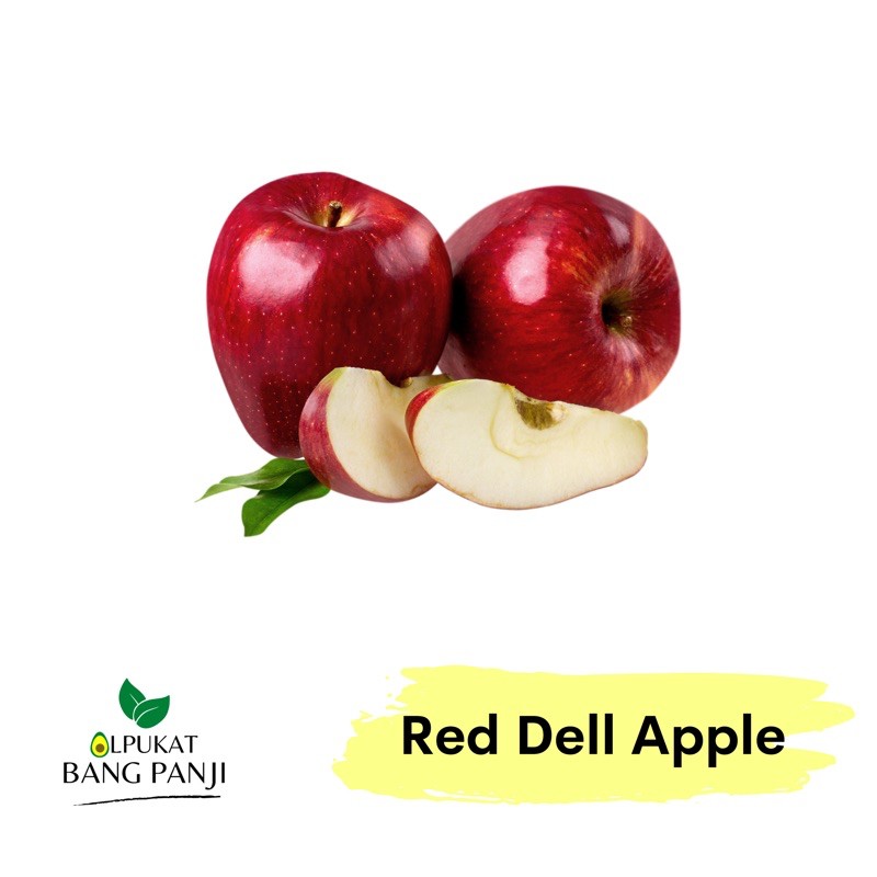 

ALPUKAT BANG PANJI - Apel Merah Red Dell 1kg