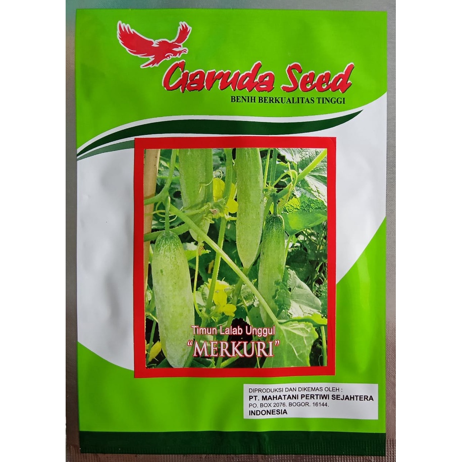 Bibit TIMUN Lalap Unggul MERKURI isi 20 Gram Benih TIMUN lalap BENIH MENTIMUN LALAP, BIBIT MENTIMUN 