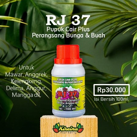 Pupuk Cair Plus RJ 37 untuk Bunga dan Buah