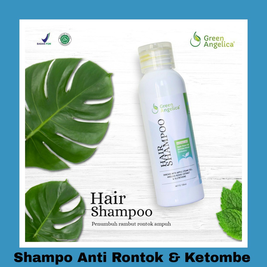 Shampo Rambut Rontok Parah Hilangkan Ketombe Alami Green Angelica