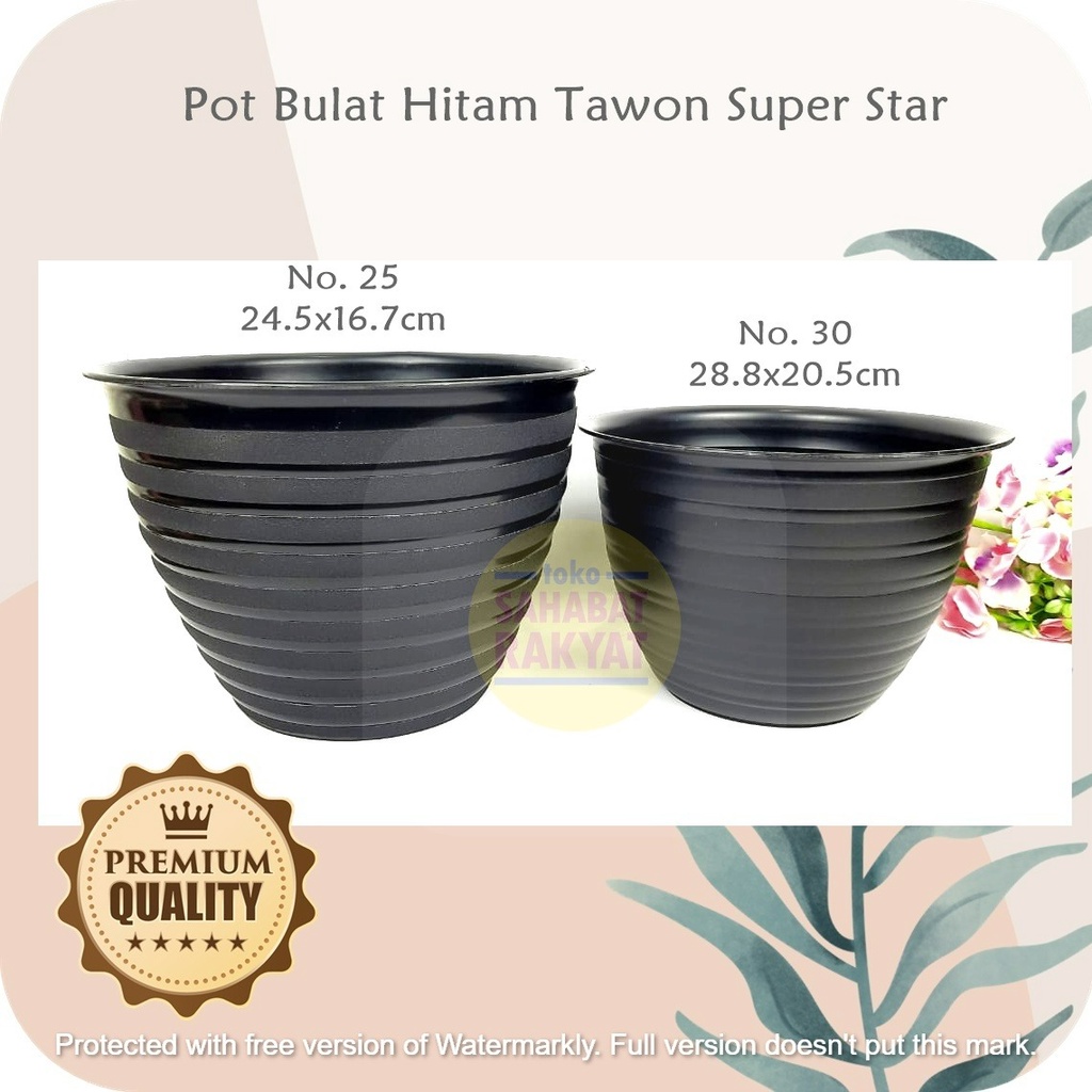 RML764Y6 - Pot Bunga Hitam Tawon Super Star