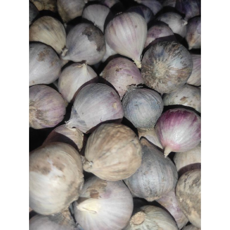 

500 gram premium bawang putih tunggal