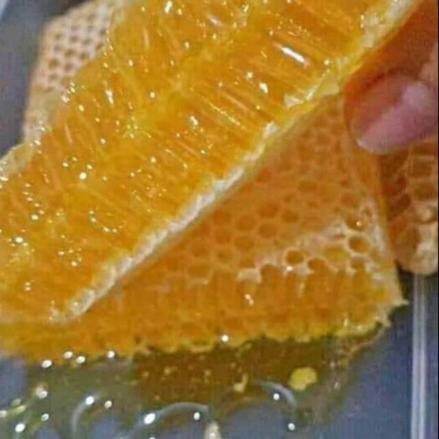 

Madu Sarang Murni 500gr
