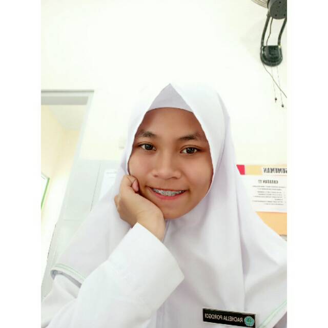 anggiporogoi