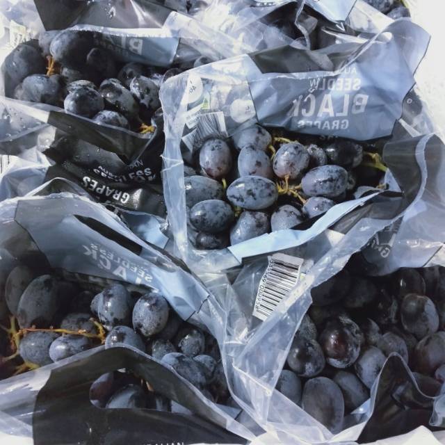 

anggur hitam autumn non biji