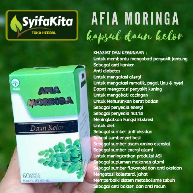 Daun Kelor kapsul serbuk kelor Moringa