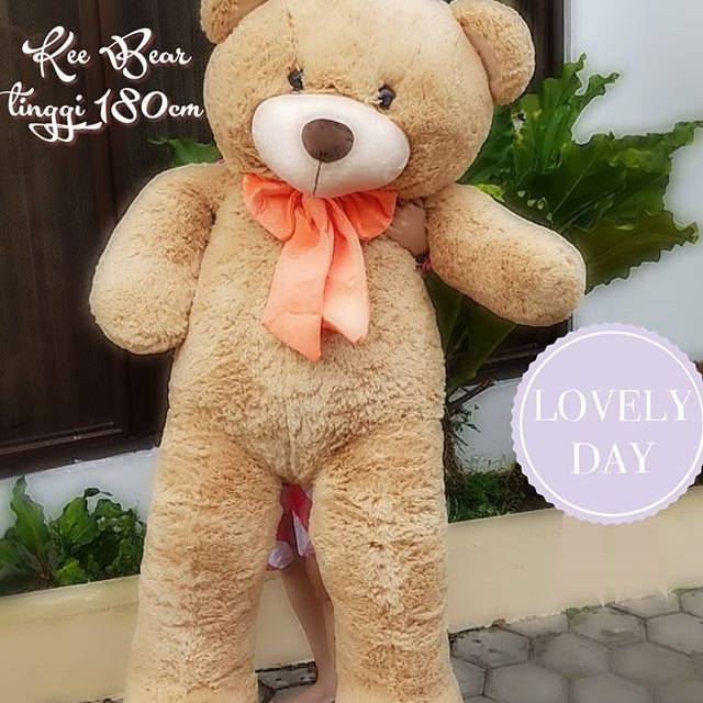 Boneka besar Kee Bear super Jumbo Camel