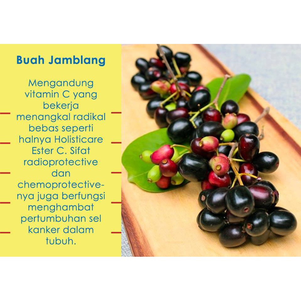 Gambar Buah Buahan Dalam Keranjang