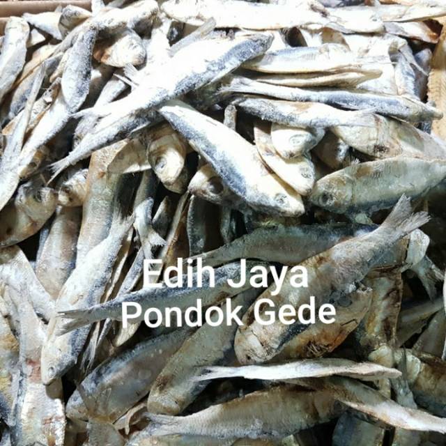 

Ikan Asin Tembang, Tembang Asin Netto 250 Gram