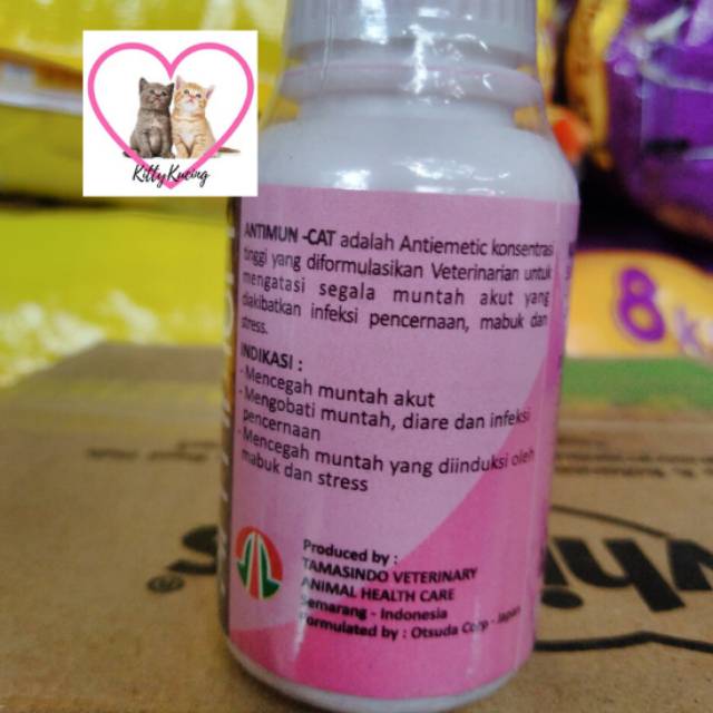 Obat Muntah Untuk Kucing ANTIMUN