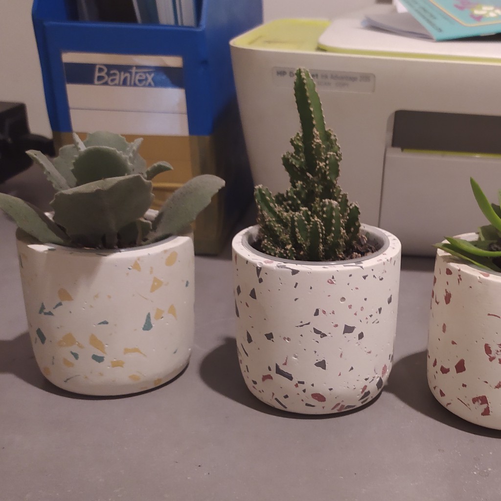 Pot Kaktus Terrazzo Pot Concrete Shopee Indonesia Pot Kaktus Terrazzo Pot Concrete Shopee Indonesia