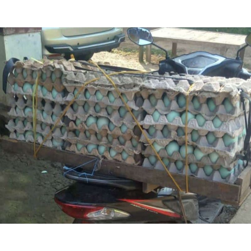 

telur bebek mentah
