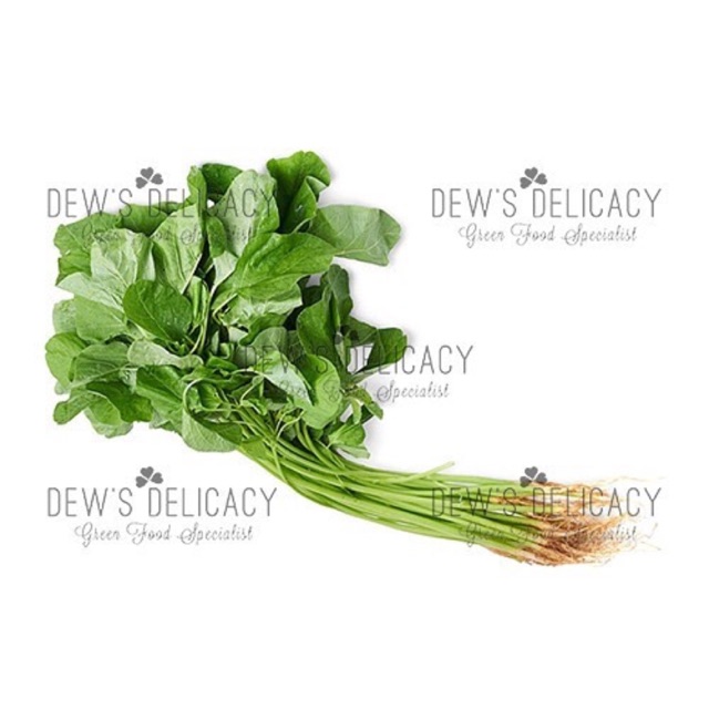 

Sayuran Organik - Bayam Hijau/Kangkung/Kailan/Sawi/Sawi Daging/Buncis