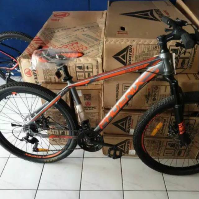 Sepeda Gunung MTB Phoenix Star