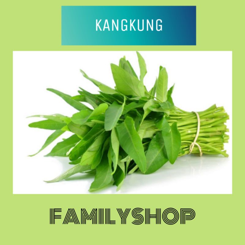 

KANGKUNG