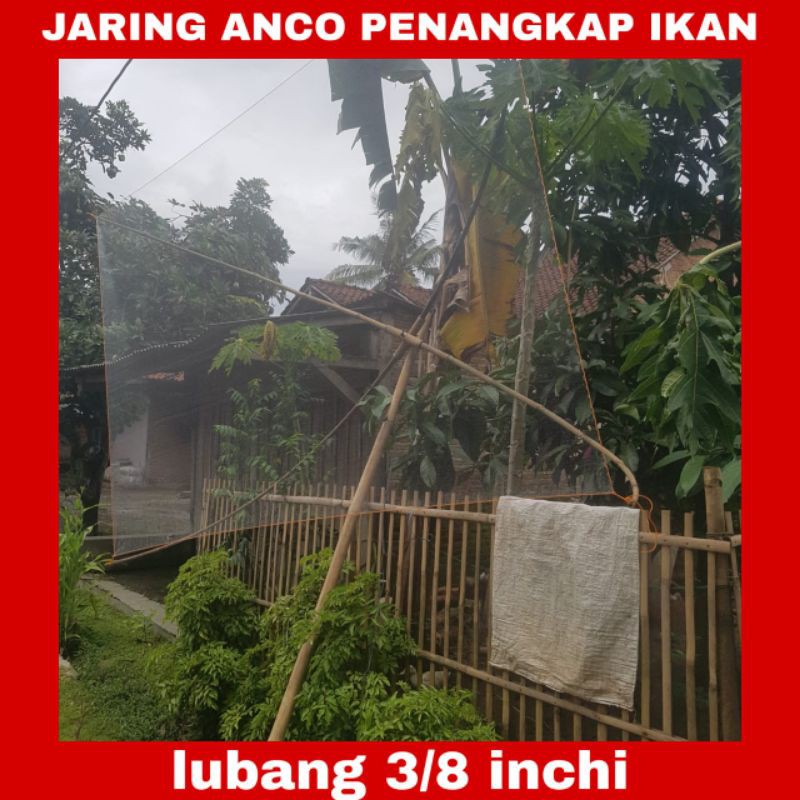 jaring anco penangkap ikan tradisional